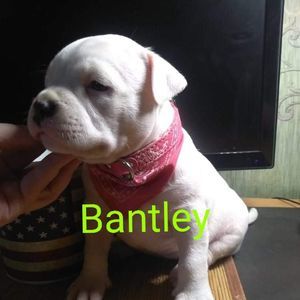 Meet your Posher, Lynn